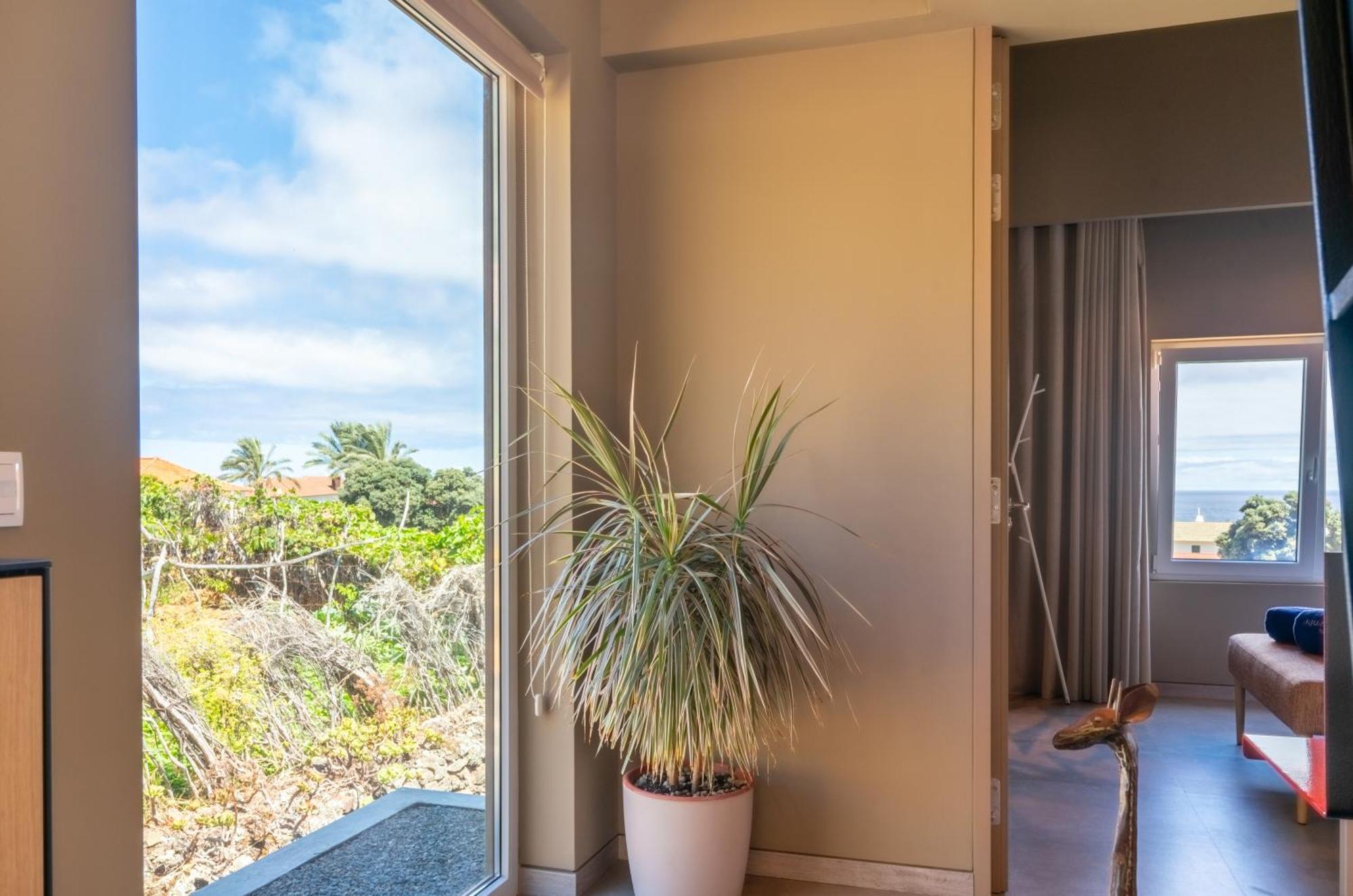 Doca Seca & Casca De Uva Villa Porto Moniz Dış mekan fotoğraf